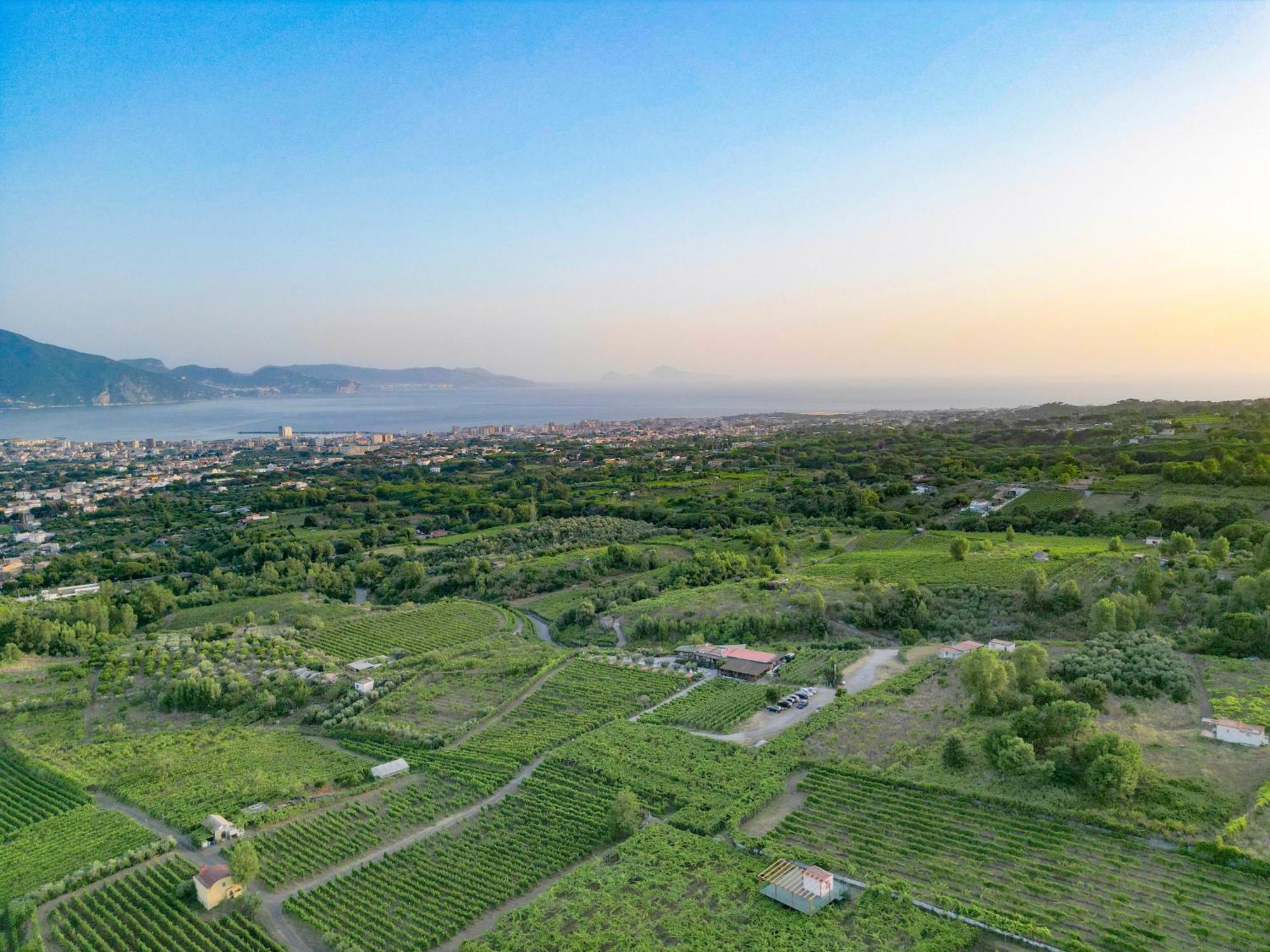 Vesuvio Inn Bed & Wine Experience Boscotrecase Zewnętrze zdjęcie