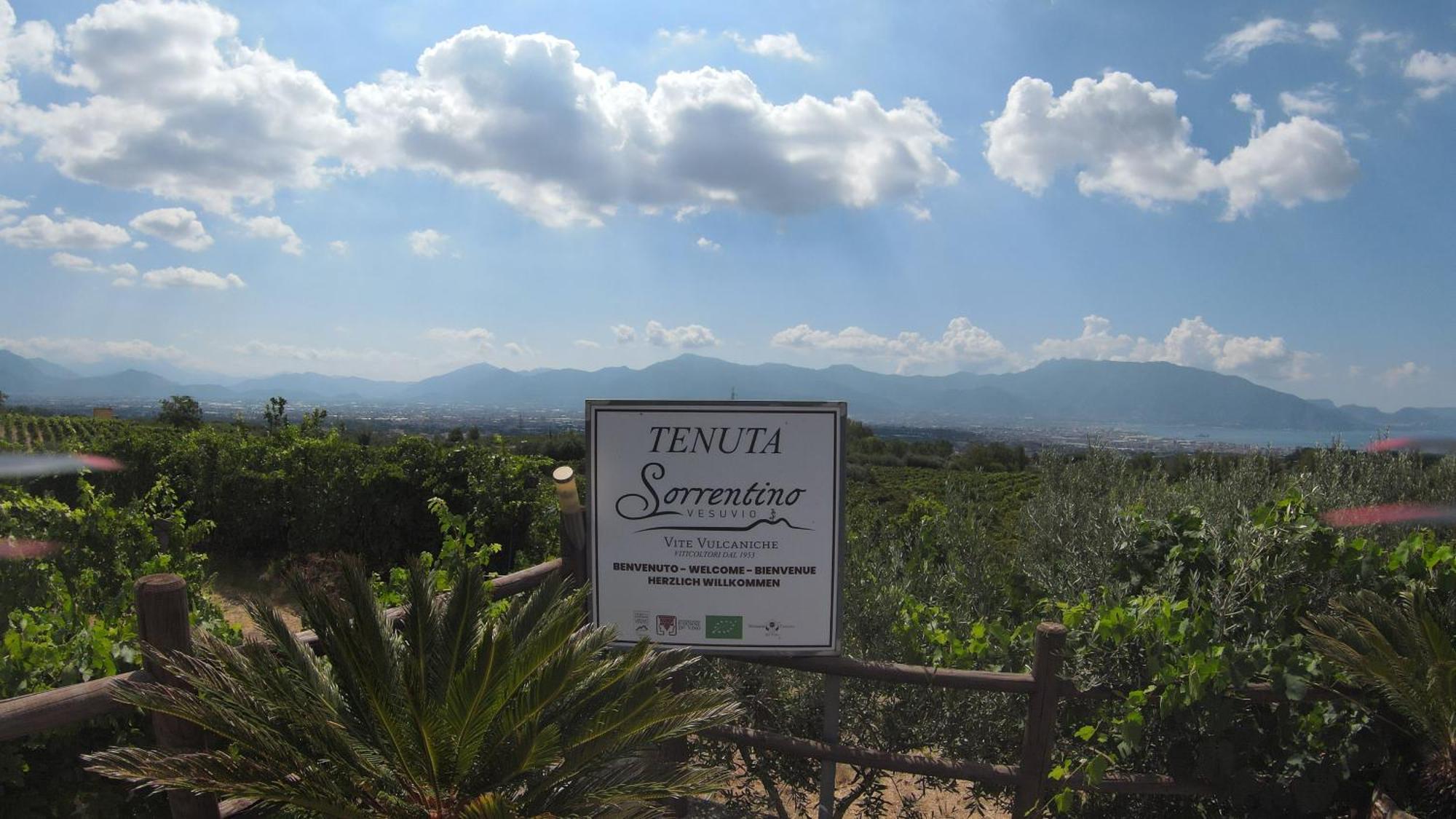 Vesuvio Inn Bed & Wine Experience Boscotrecase Zewnętrze zdjęcie