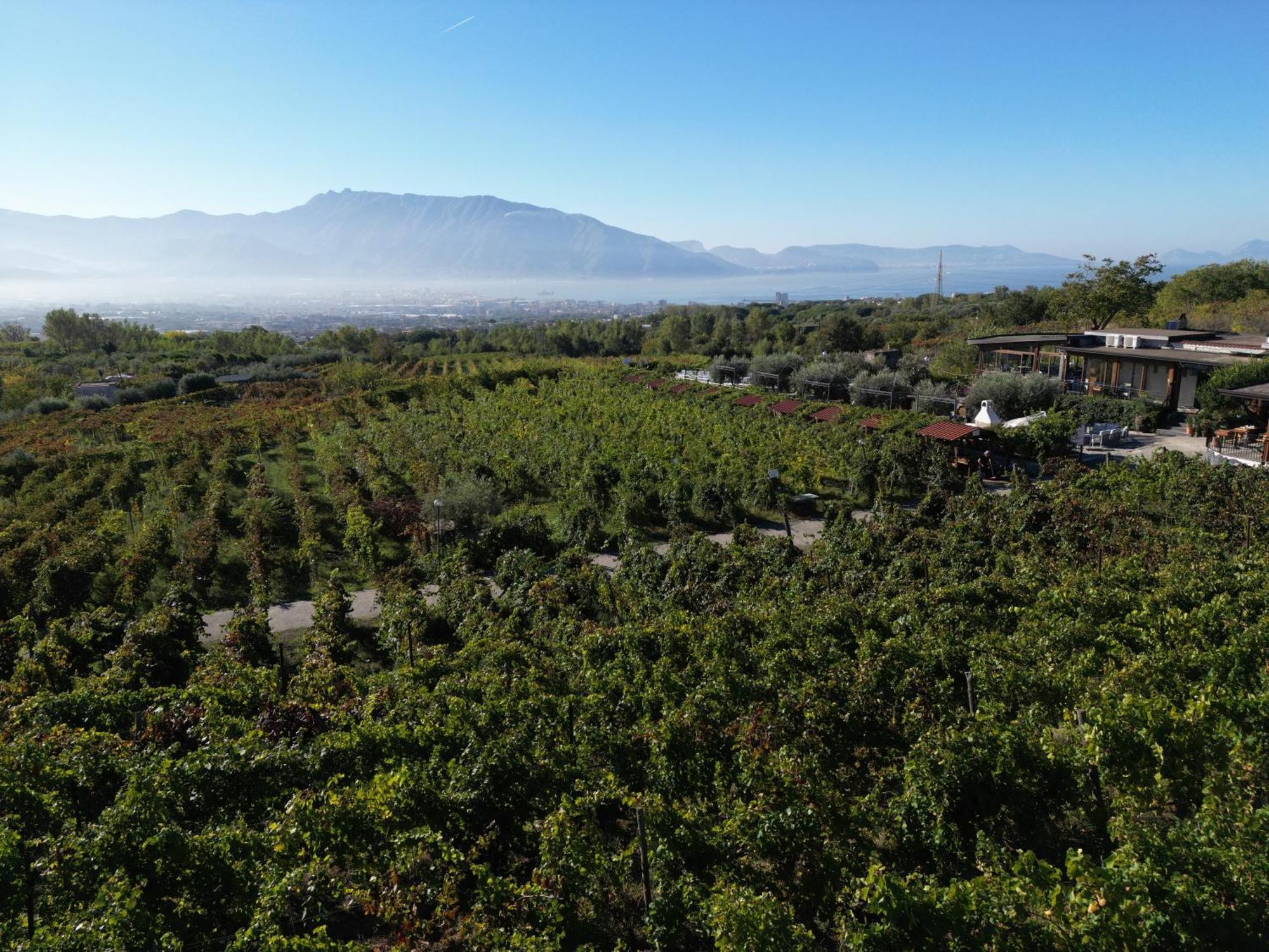 Vesuvio Inn Bed & Wine Experience Boscotrecase Zewnętrze zdjęcie