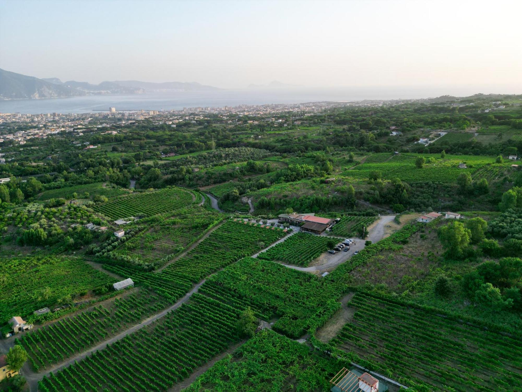 Vesuvio Inn Bed & Wine Experience Boscotrecase Zewnętrze zdjęcie