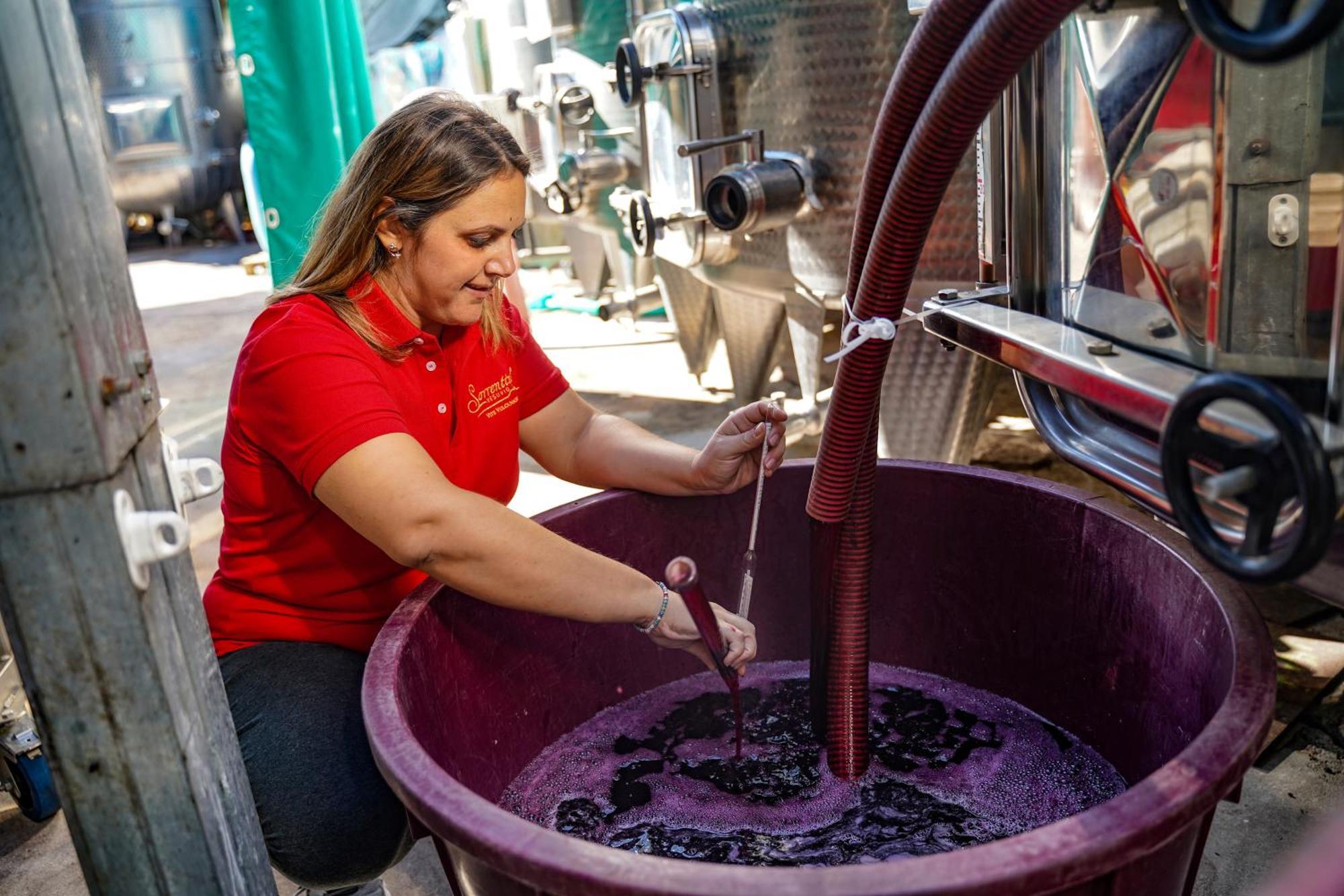 Vesuvio Inn Bed & Wine Experience Boscotrecase Zewnętrze zdjęcie