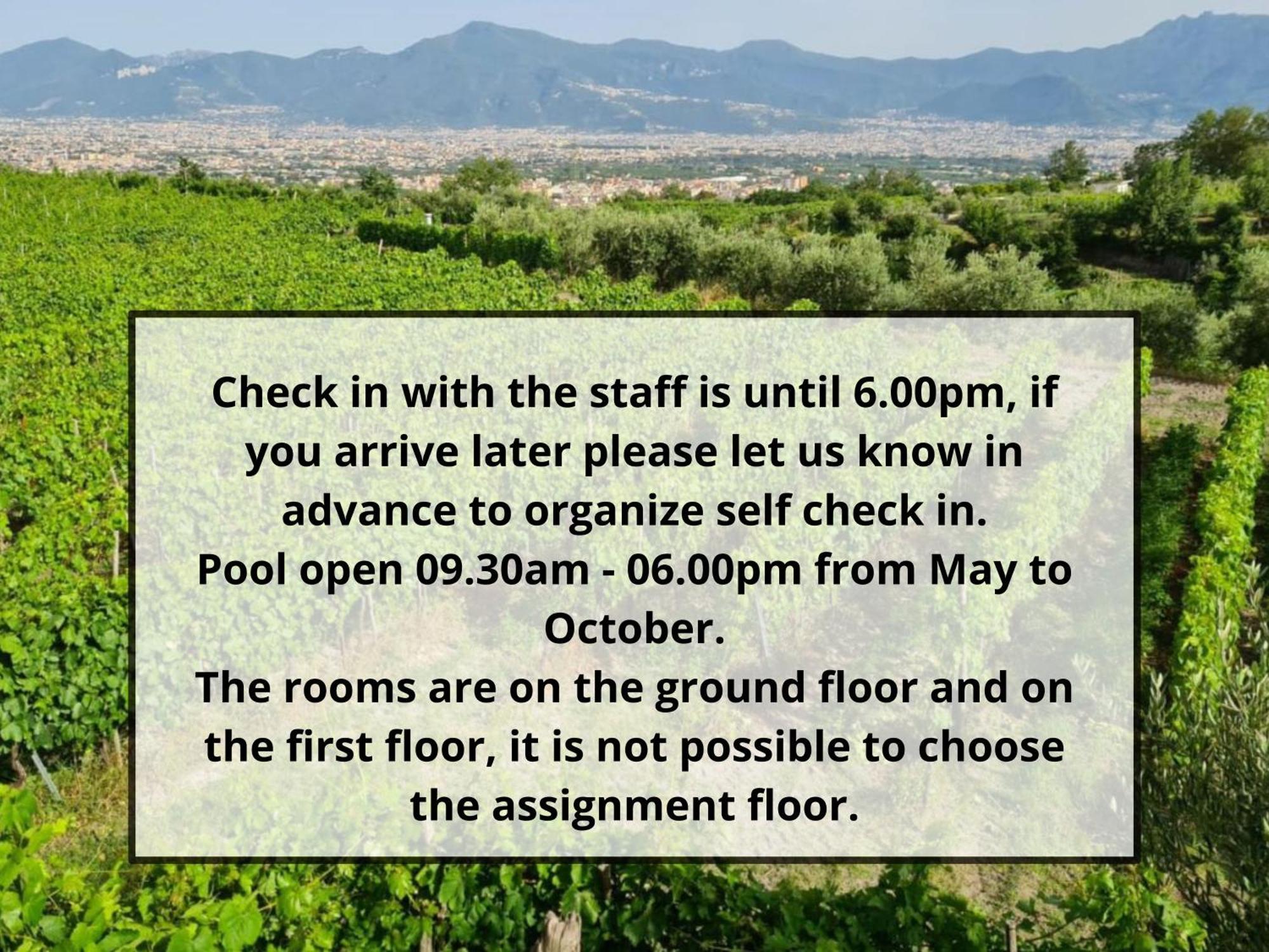 Vesuvio Inn Bed & Wine Experience Boscotrecase Zewnętrze zdjęcie