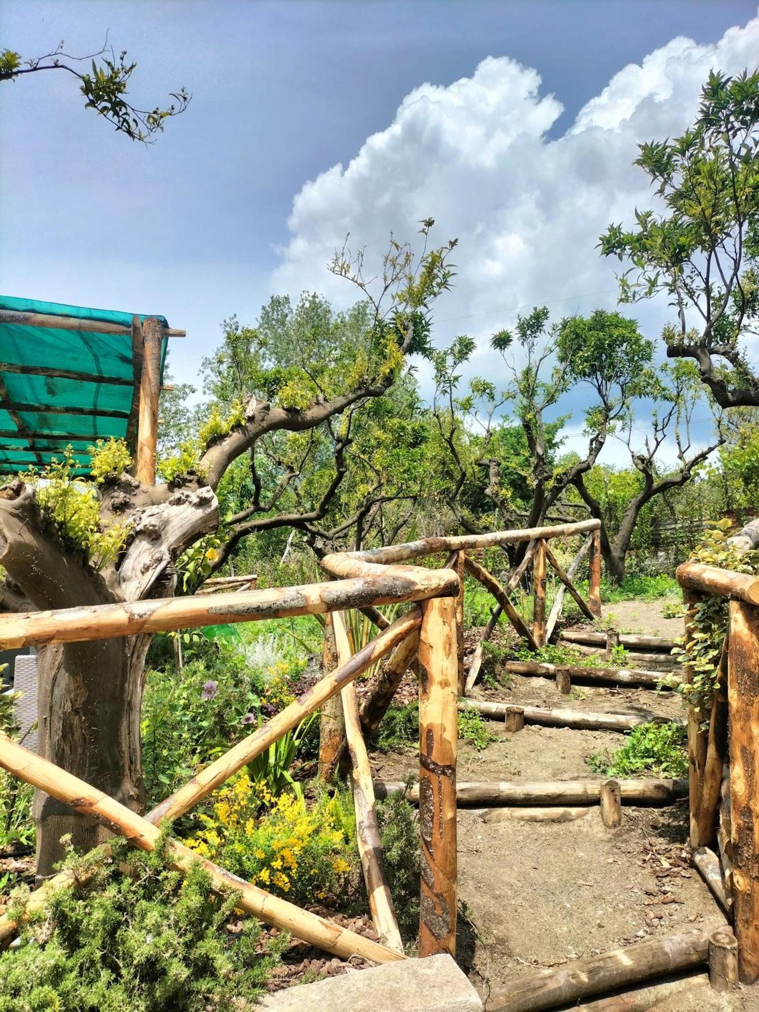 Vesuvio Inn Bed & Wine Experience Boscotrecase Zewnętrze zdjęcie