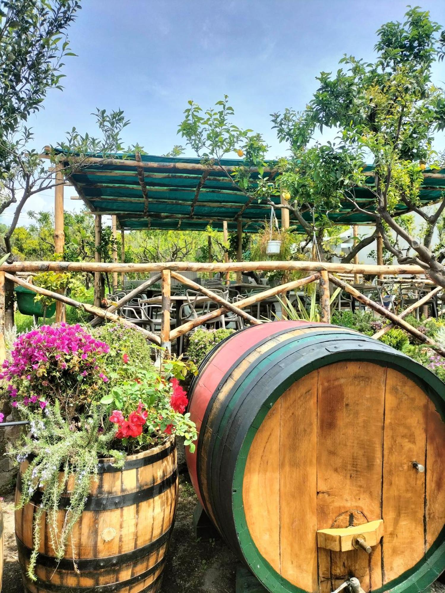 Vesuvio Inn Bed & Wine Experience Boscotrecase Zewnętrze zdjęcie