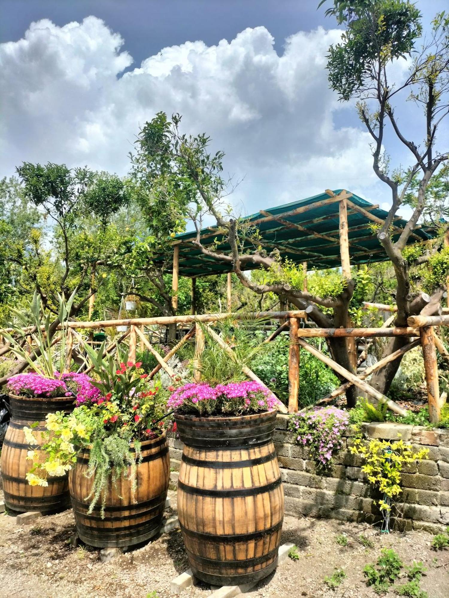 Vesuvio Inn Bed & Wine Experience Boscotrecase Zewnętrze zdjęcie